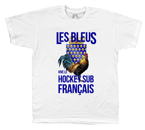 VIVE Le Hockey Sub
